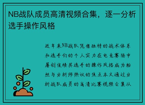 NB战队成员高清视频合集，逐一分析选手操作风格